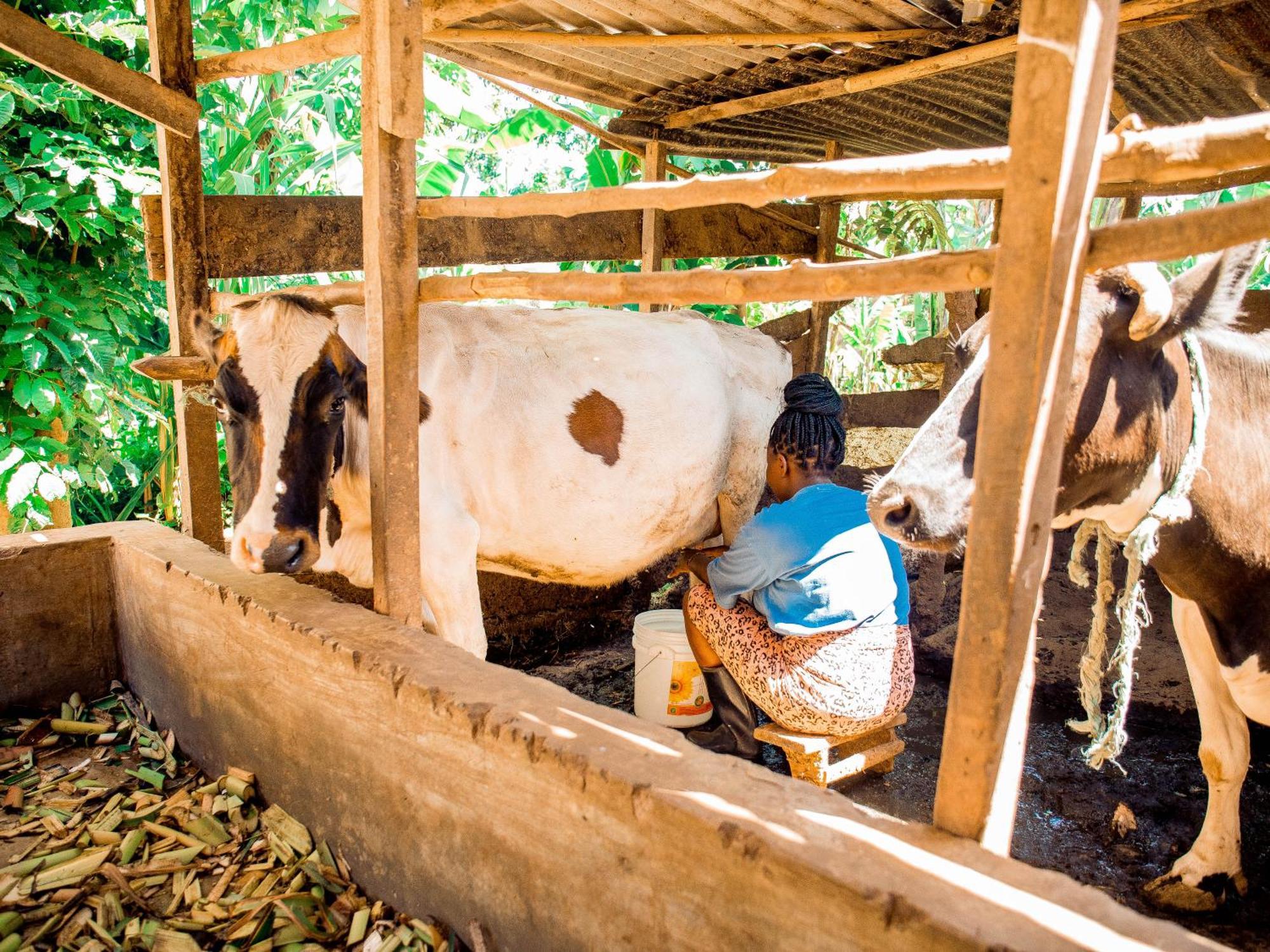 Arusha Jua Home Kültér fotó